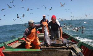 pescadores-artesanales