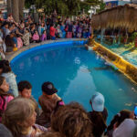 Más de mil personas asistieron a la inauguración del regreso del tradicional pesebre y árbol navideño en Quilpué